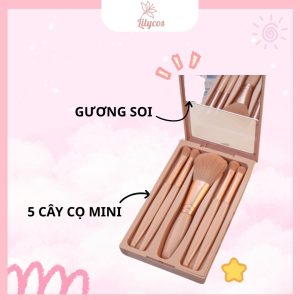 bo-co-5-cay-mini-3